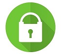 100% ssl security